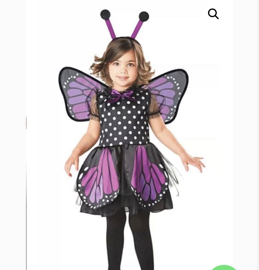 Butterfly Costume Toddler 24yos, Babies & Kids, Babies & Kids Fashion on Carousell