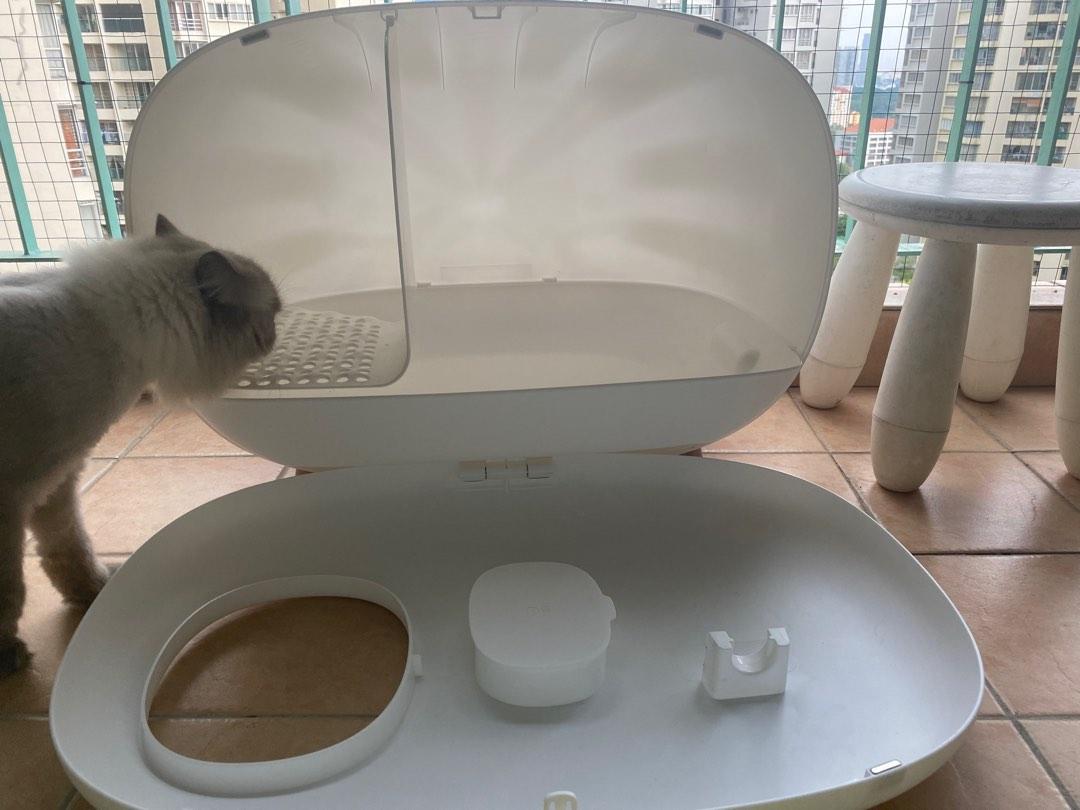MSI Cat Litter Box, Pet Supplies, Homes & Other Pet Accessories on