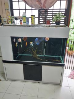 (Category: ) located in . Submitted by akash12354 (Listing ID 1182616126, Image 1). Description: .