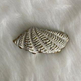France Vintage White Gold Shell Shape Hair Clip
