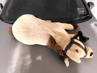(Category: ) located in . Submitted by ruedi (Listing ID 1182631834, Image 1). Description: .