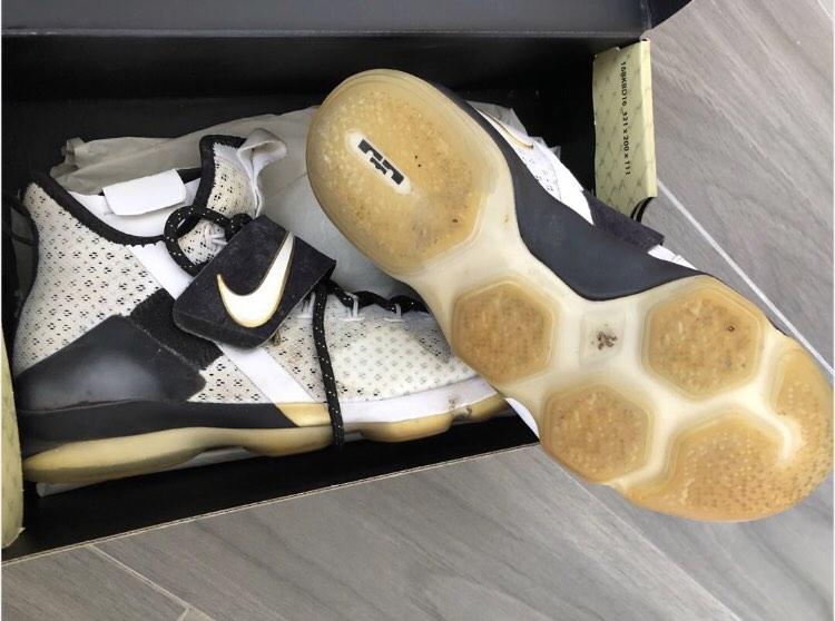 Lebron james xiv best sale shoes