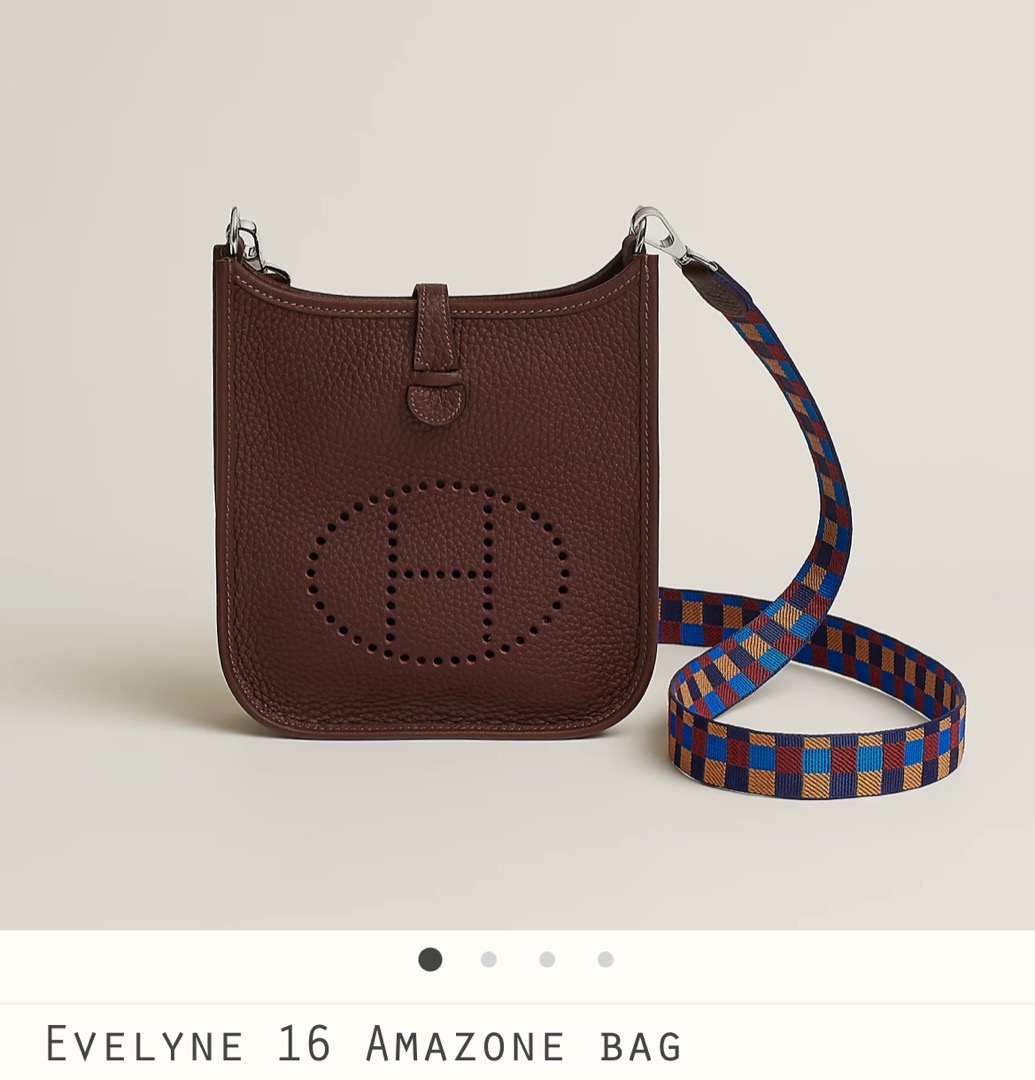 Hermes hot sale evelyne 19