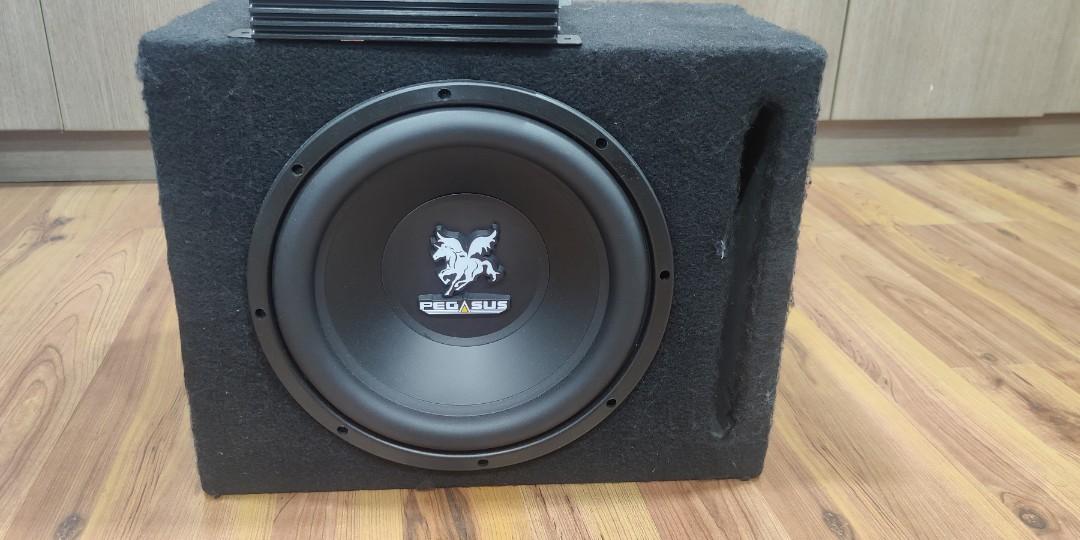 Pegasus Subwoofer and Amplifier