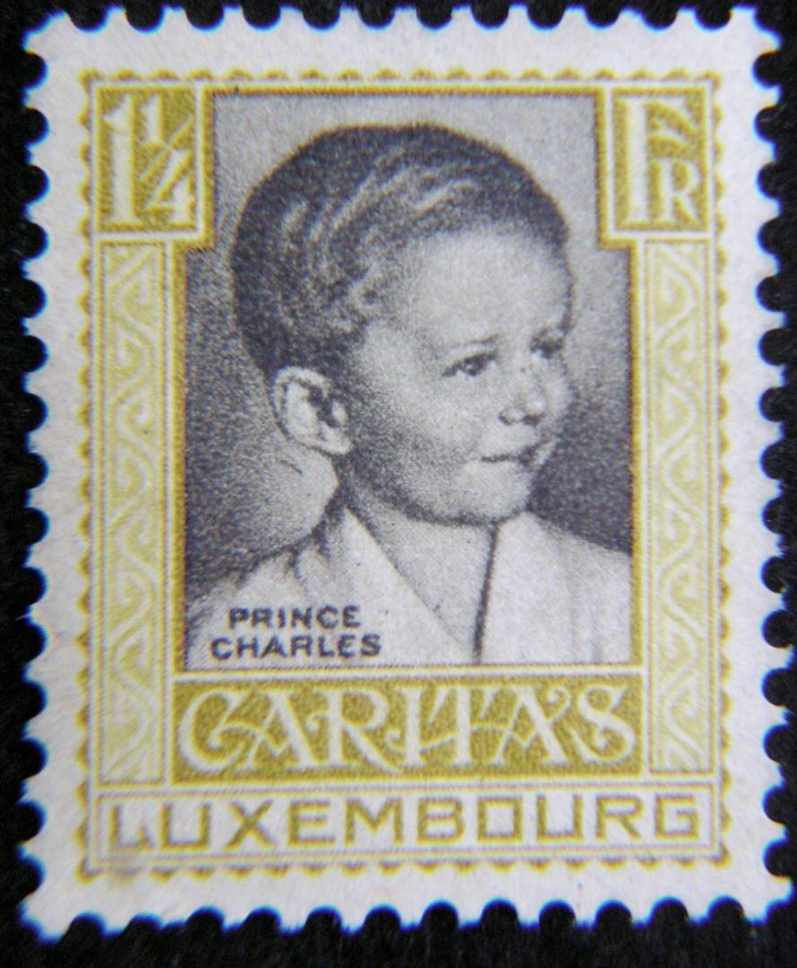 慈善郵票-1930年盧森堡大公國(Grand Duchy of Luxembourg)查理斯王子(Prince Charles)肖像1.25法郎慈善郵票(未使用),  興趣及遊戲, 收藏品及紀念品, 郵票及印刷品- Carousell