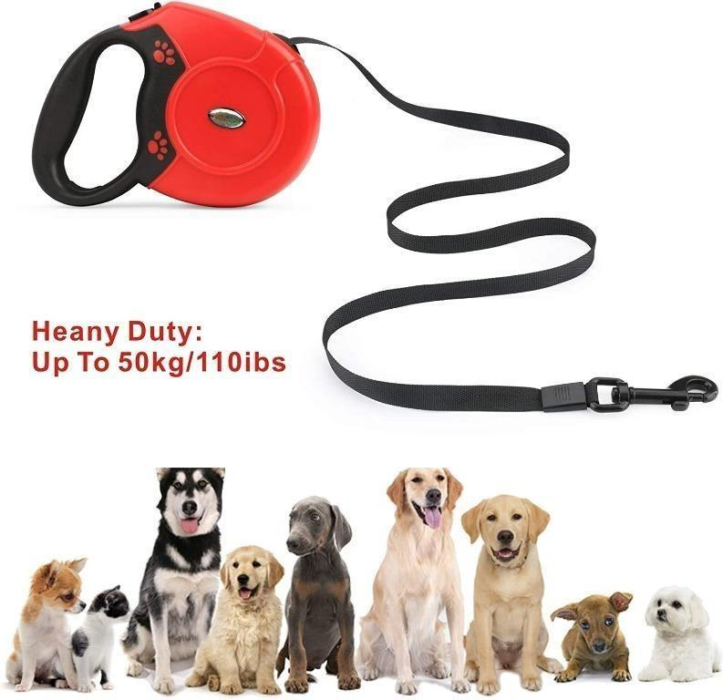 Steel retractable dog sales leash