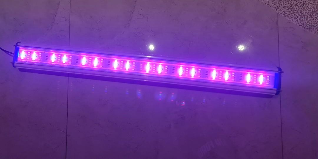 75 to 85cm LED light Aquarium Fish Tank Lights, Pet Supplies, Homes