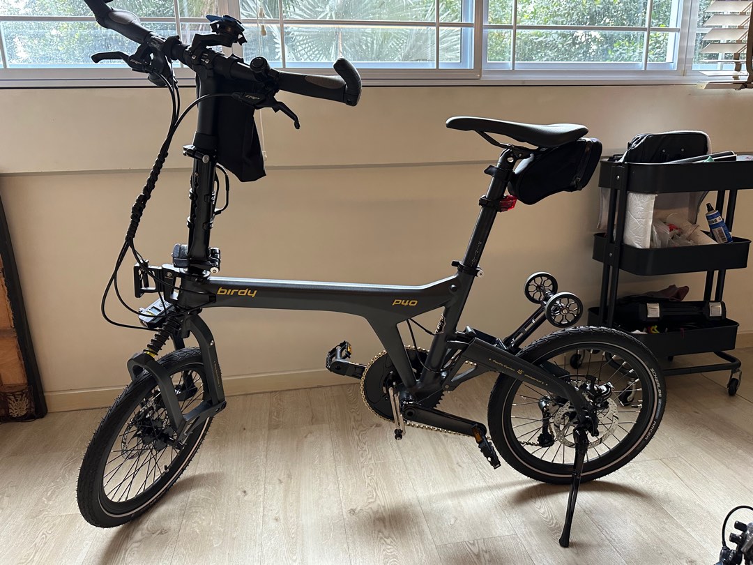 Birdy p40 bike outlet