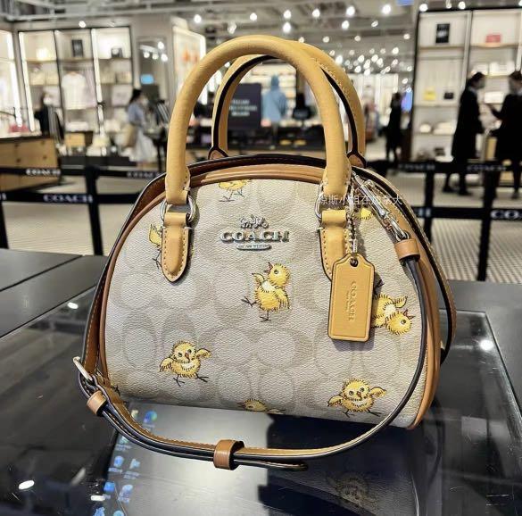 Coach Handbag speedy, Luxury, Bags & Wallets on Carousell