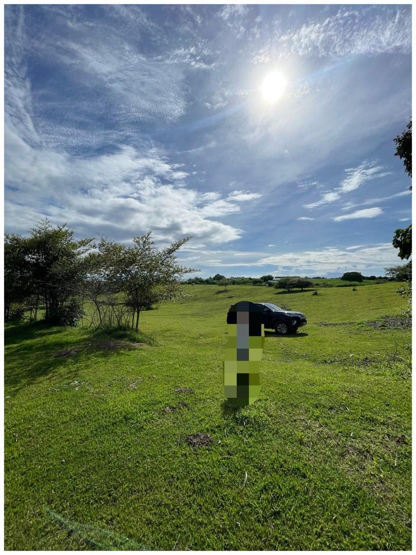 Farm lot Calatagan Batangas, Property, For Sale, Lot on Carousell