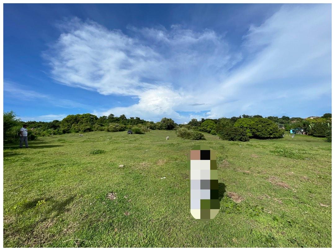 Farm lot Calatagan Batangas, Property, For Sale, Lot on Carousell