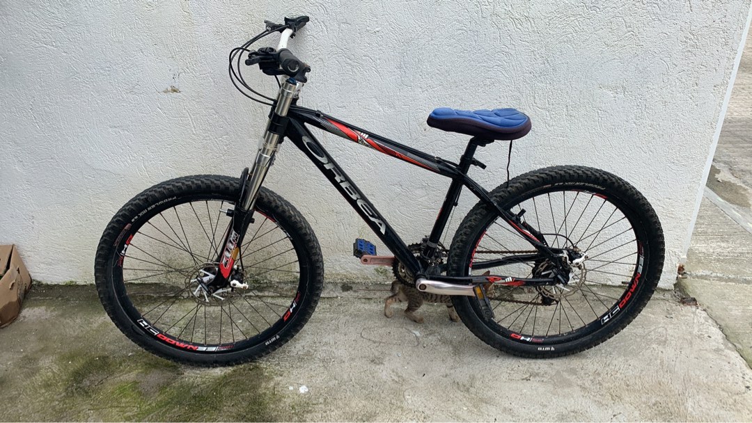Orbea Mountain Bike, Sports Equipment, Bicycles & Parts, Bicycles on