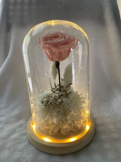 (Category: ) located in . Submitted by elsblooms (Listing ID 1187863180, Image 1). Description: .