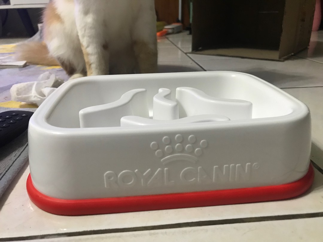 Slow down food bowl clearance