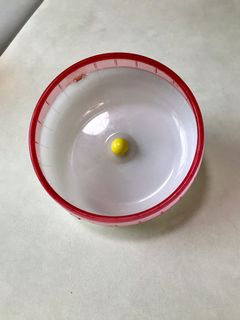 （分類：）位於 。 由 worman28 提交（商品編號 1187884993，圖片 1）。簡介： 。