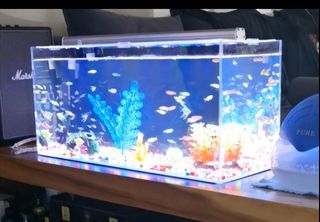 (Category: ) located in . Submitted by bernardwee2 (Listing ID 1182822778, Image 1). Description: .