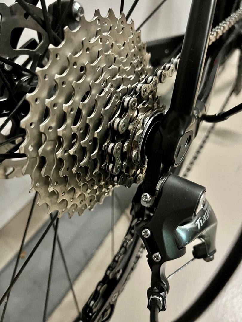 Canyon endurace wmn al hot sale 6.0