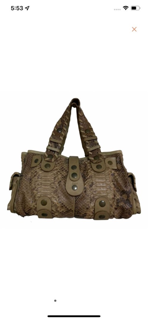 Chloe silverado top python bag
