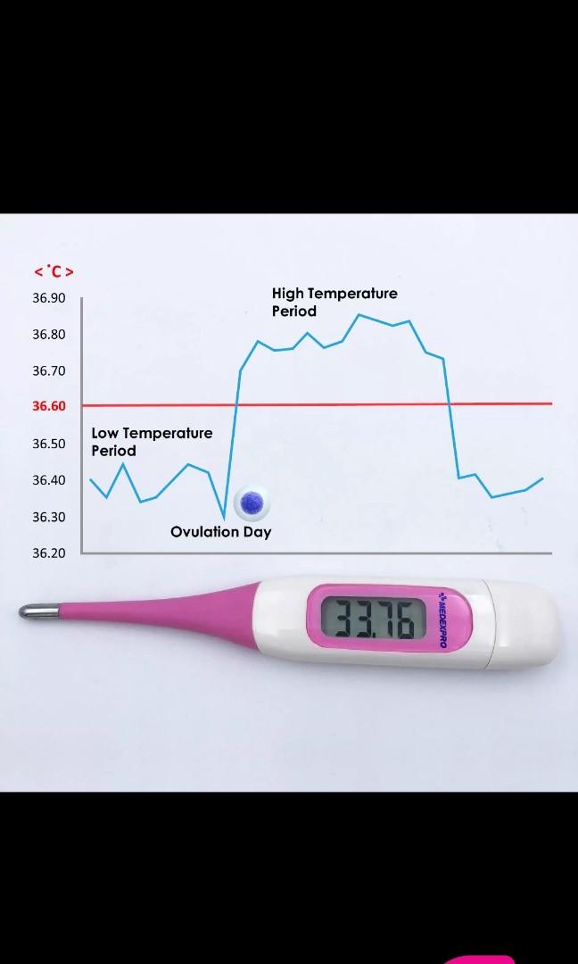 Female Basal thermometer, Health & Nutrition, Thermometers on Carousell