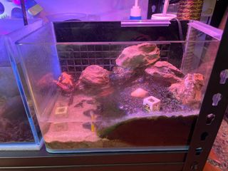 (Category: ) located in . Submitted by amali_rahmat (Listing ID 1182709674, Image 1). Description: .