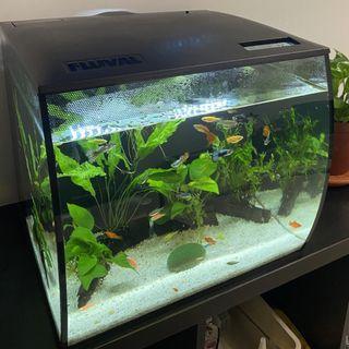 Fluval Flex 57L Aquarium Black (Used)