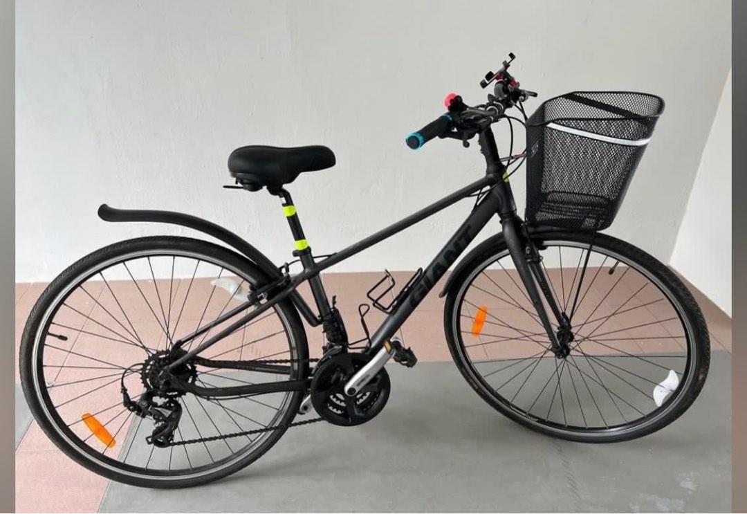 exerpeutic 1200 review