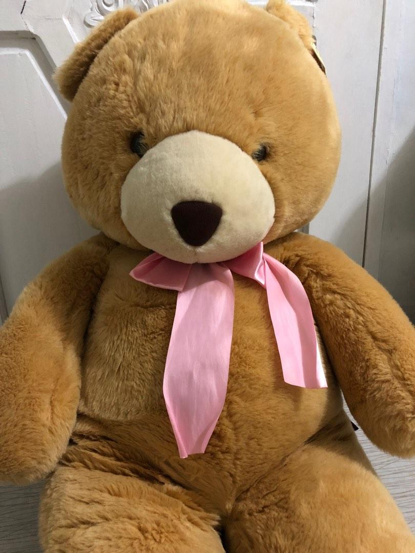 Giant Teddy bear. Bear cuddler, Hobbies & Toys, Toys & Games on Carousell