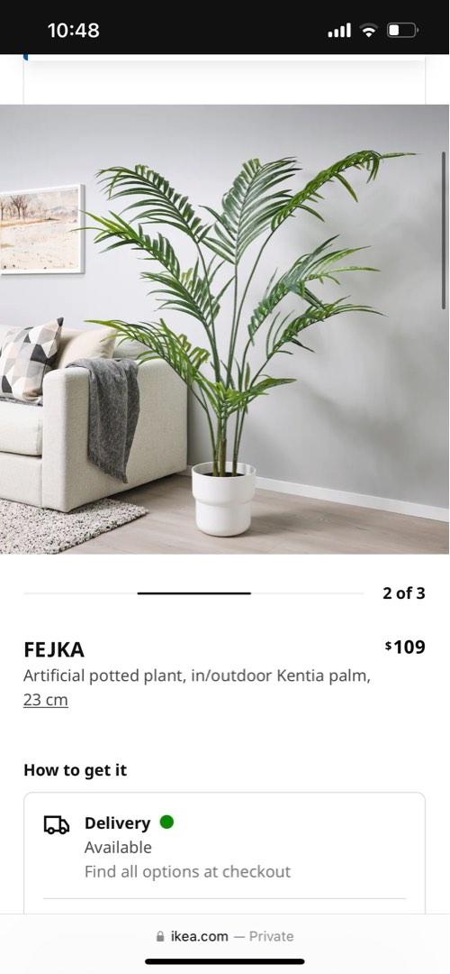 Indoor Kentia Palm (Ikea) with basket, Furniture & Home Living, Home