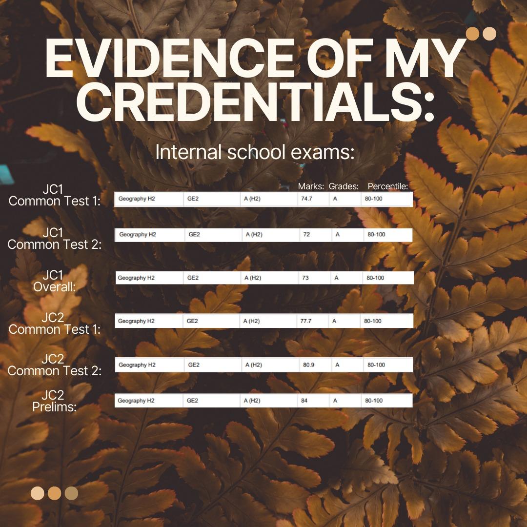 JC H2 Geography notes, Softcopy, New Syllabus, Alevel, Hobbies & Toys