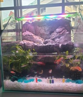 (Category: ) located in . Submitted by shiyz001 (Listing ID 1182864658, Image 1). Description: .