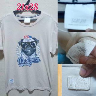 LA Dodgers MLB. 105 on tag. 21x28. excellent condition and color. only issue crack fade sa print.