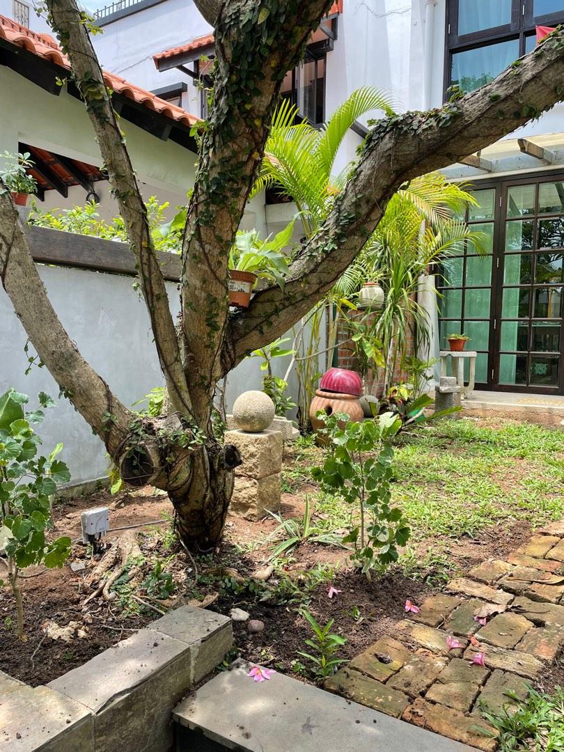 Landscapes64884980910465115