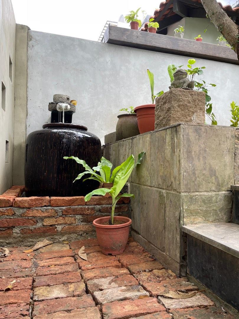 Landscapes64884980910465111