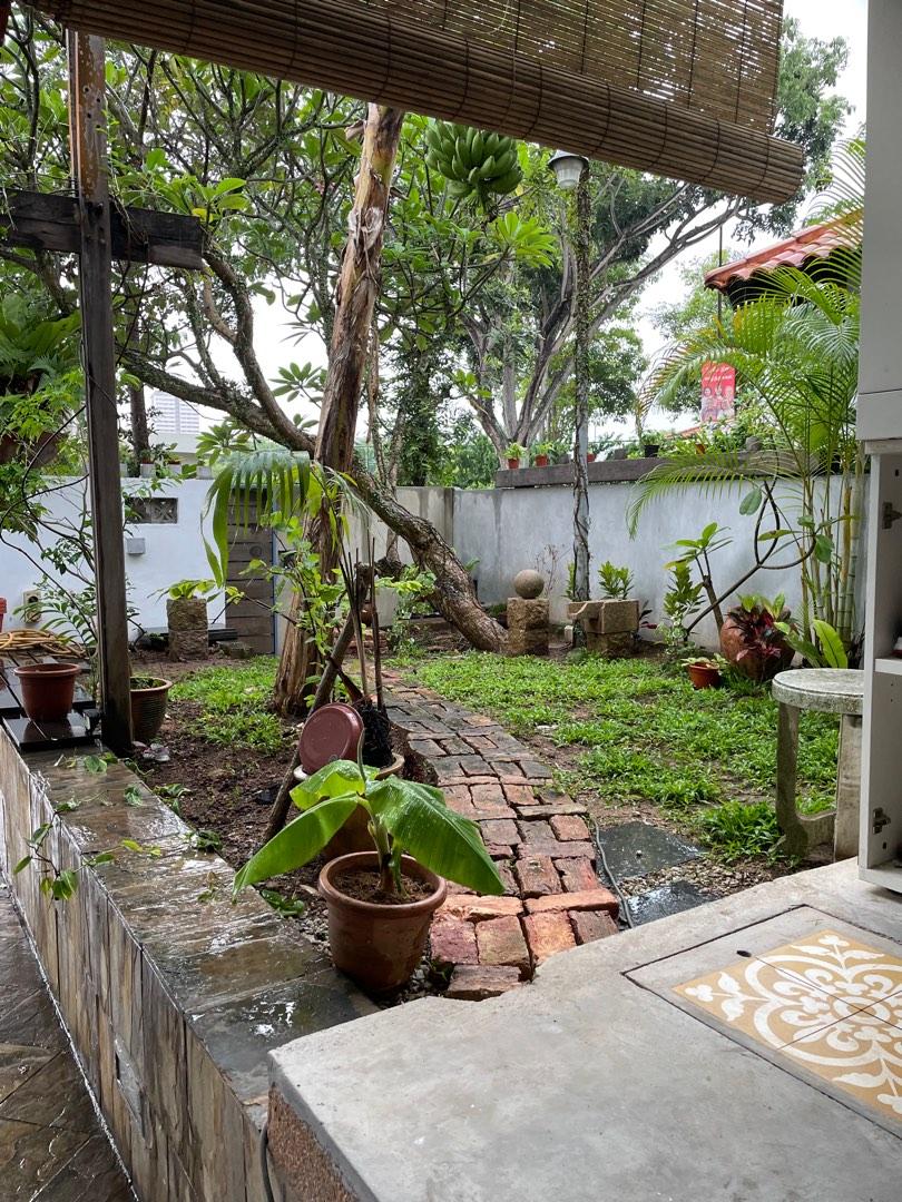 Landscapes64884980910465114