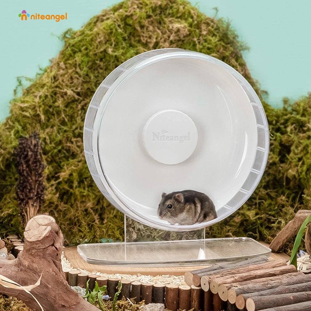 Niteangel Dwarf Hamster wheel 22cm, Pet Supplies, Homes & Other Pet