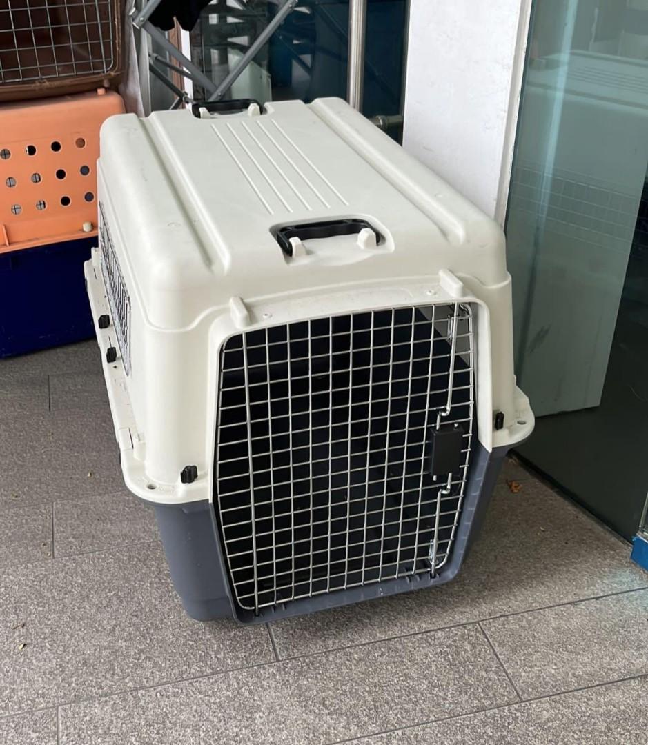 Pet Travel Crate, Pet Supplies, Homes & Other Pet Accessories on Carousell
