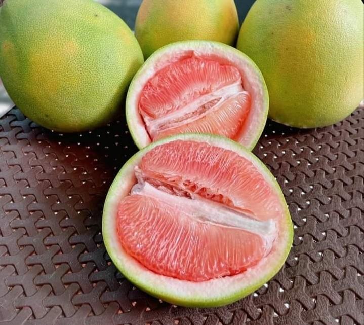 Pomelo, Food & Drinks, Fresh Produce on Carousell