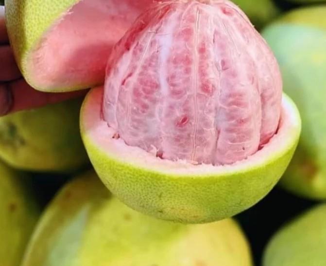 Pomelo, Food & Drinks, Fresh Produce on Carousell