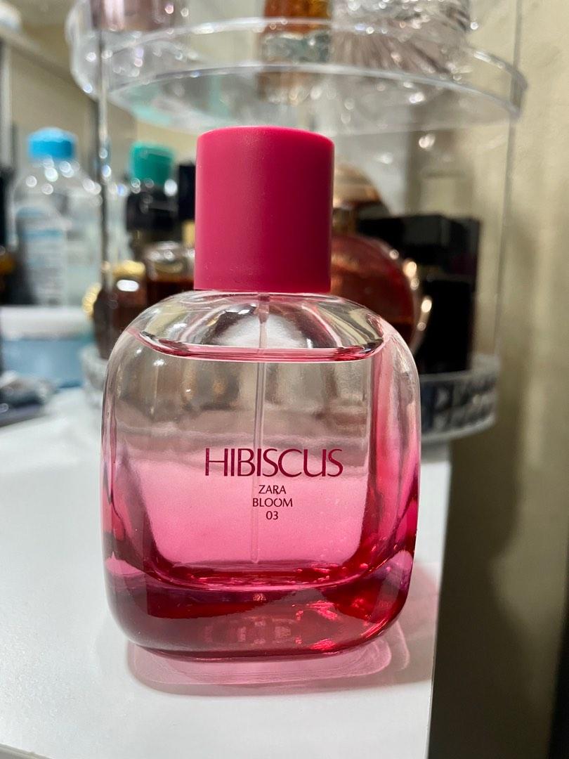 hibiscus zara