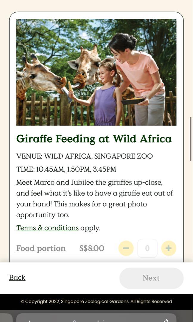 ZOO GIRAFFE FEEDING, Tickets & Vouchers, Local Attractions & Transport