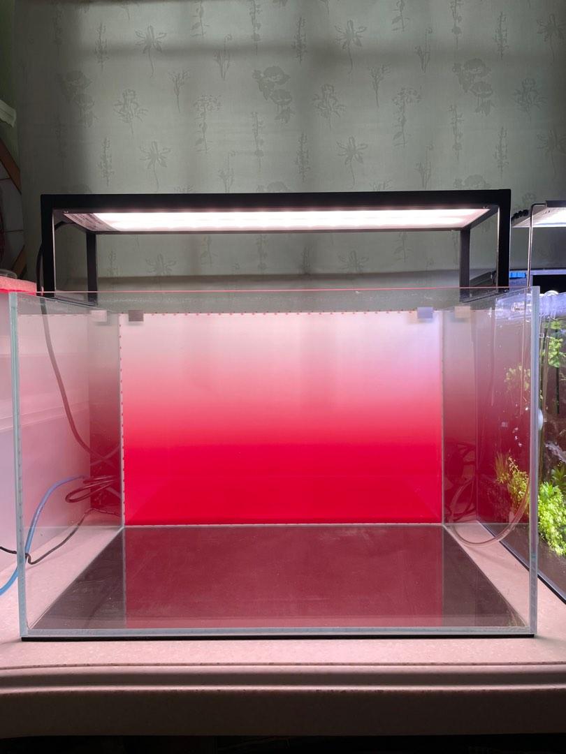 ANS 45p fish tank set + Chihiros wrgb45 slim led light + fish tank