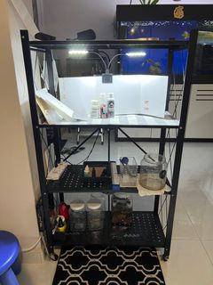 (Category: ) located in . Submitted by hyangdan (Listing ID 1182955679, Image 1). Description: .