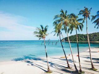 Boracay Newcoast Condo, Residential Lots & Commercial Lots For Sale