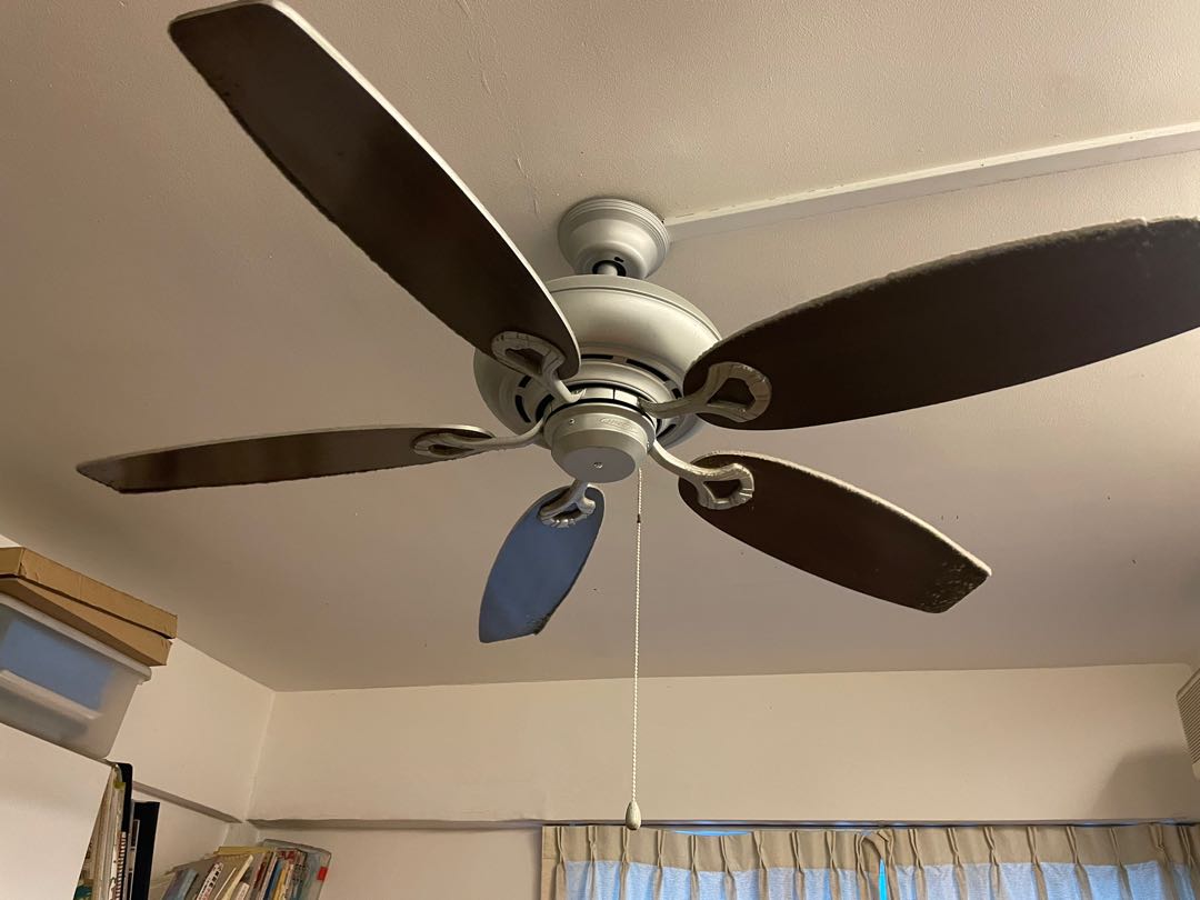 Amasco USA AC Ceiling fan 5 blades, Furniture & Home Living, Lighting