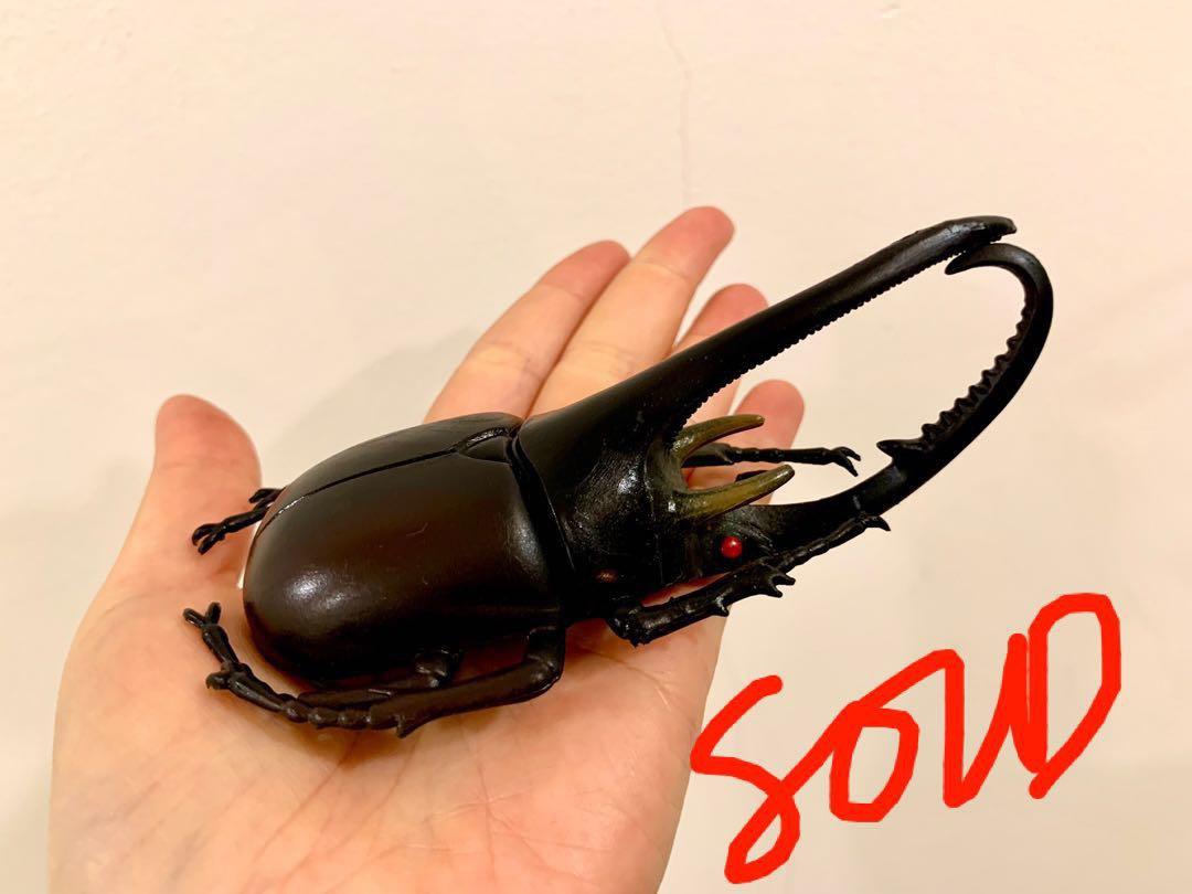 Rhinoceros beetle toy sale