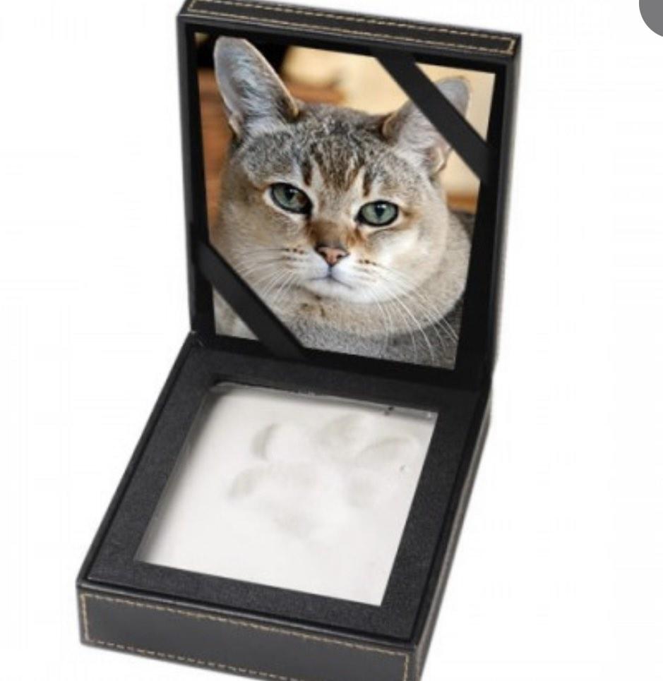 Cat clay paw print cheap