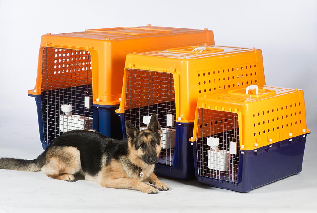 Pp60 dog 2025 crate size