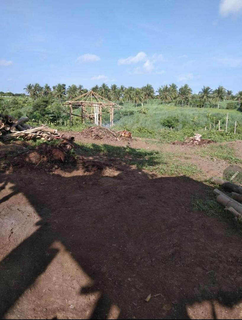 RESIDENTIAL LOT FOR SALE RUSH!!!, Property, For Sale, Lot on Carousell