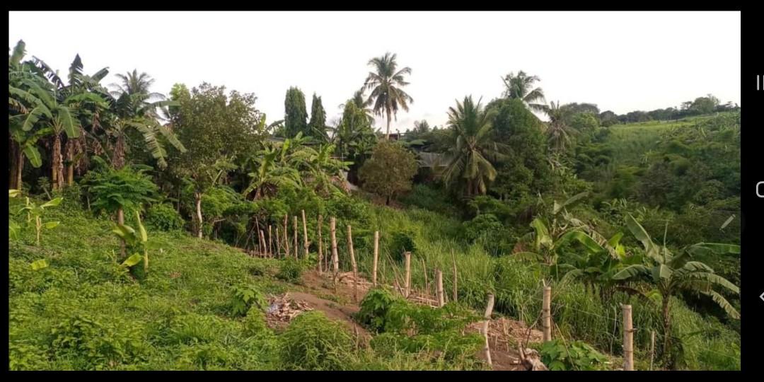 RESIDENTIAL LOT FOR SALE RUSH!!!, Property, For Sale, Lot on Carousell