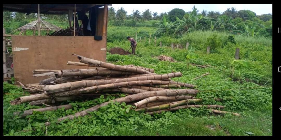 RESIDENTIAL LOT FOR SALE RUSH!!!, Property, For Sale, Lot on Carousell